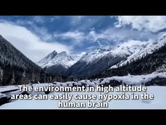 Generatore di ossigeno a diffusione Plateau