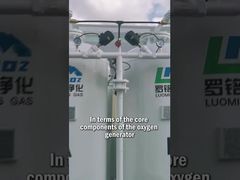 Generatore di Ossigeno Luoming - Componenti Chiave e Progettazione del Sistema